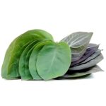 200g Bông Thiên Lý - Image 3