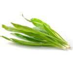 200g Bông Thiên Lý - Image 4